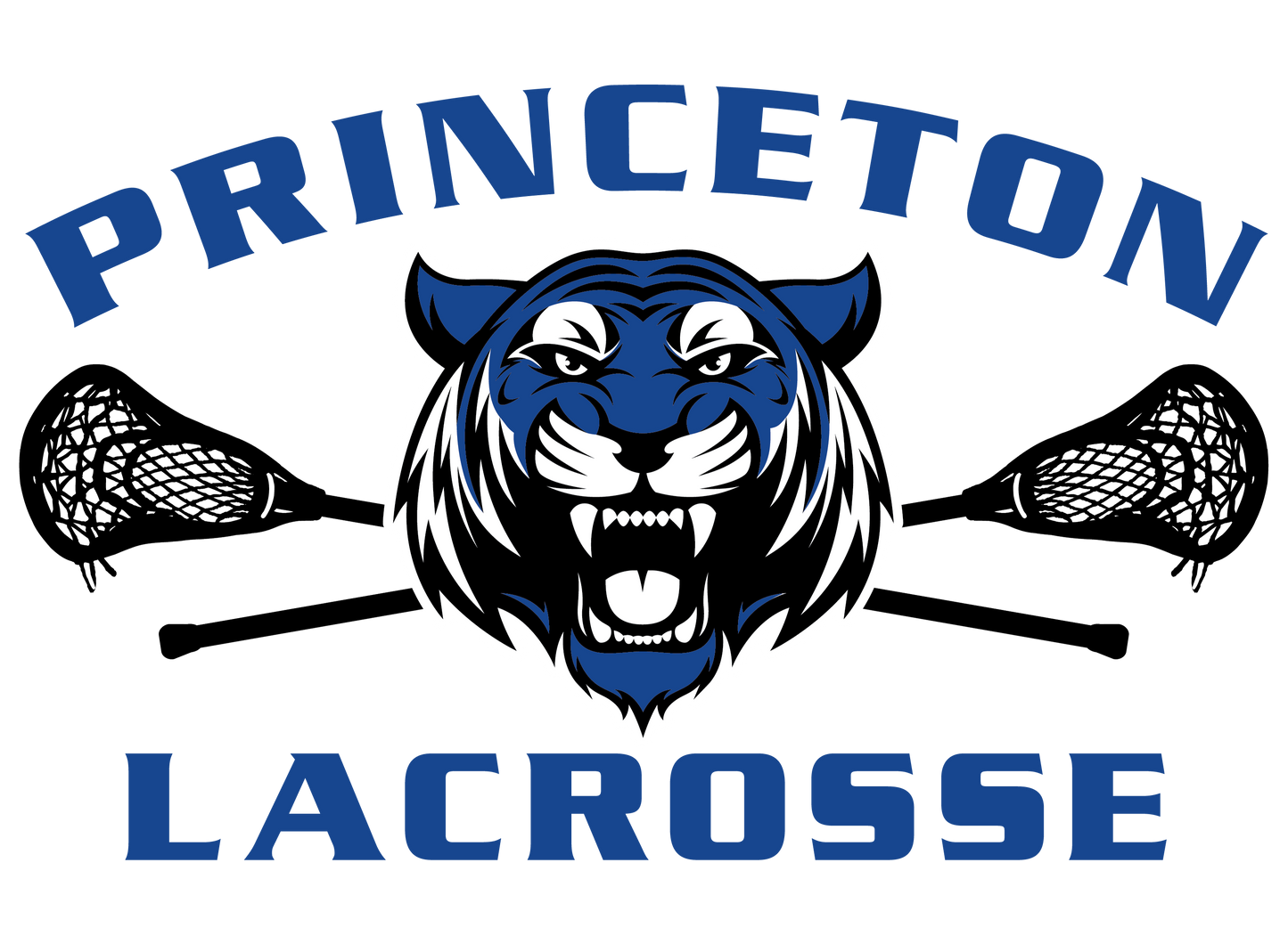 Princeton Lacrosse Seniors Year 2