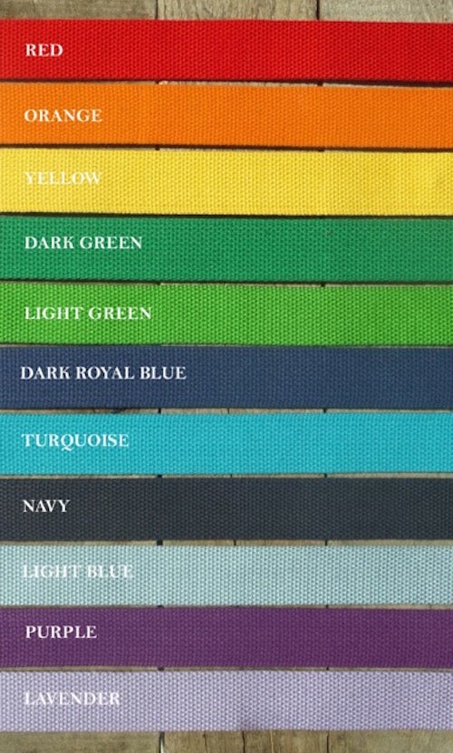 Equestrian Horse D-ring Belt
