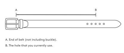 BELT SIZING